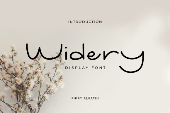 How Widery Font Transformed My Brand's Visual Identity